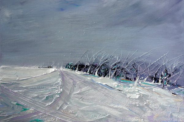 Bridie O'Brien: Funnel Web After Hours by Bridie O'Brien