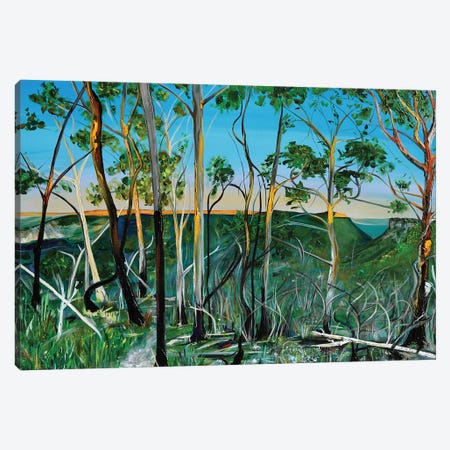 And The Trees Danced Canvas Print #BDI28} by Bridie O'Brien Canvas Art Print