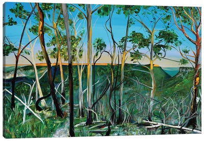 And The Trees Danced Canvas Art Print - Bridie O'Brien