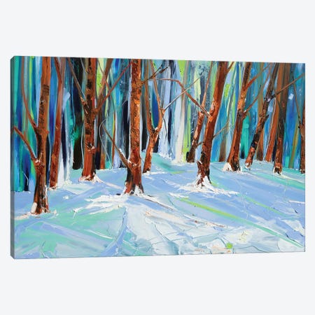 Forest Of Lost And Found Canvas Print #BDI41} by Bridie O'Brien Art Print