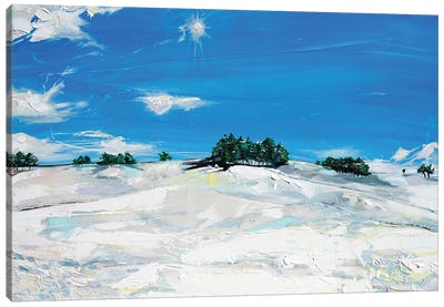 Fresh Snow Canvas Art Print - Bridie O'Brien