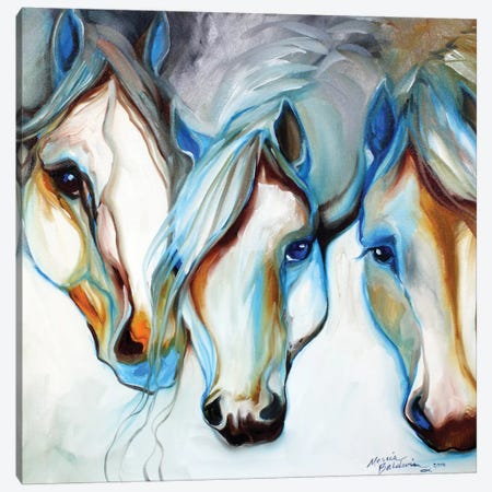 3 Wild Appaloosa Horses Canvas Art by Marcia Baldwin | iCanvas