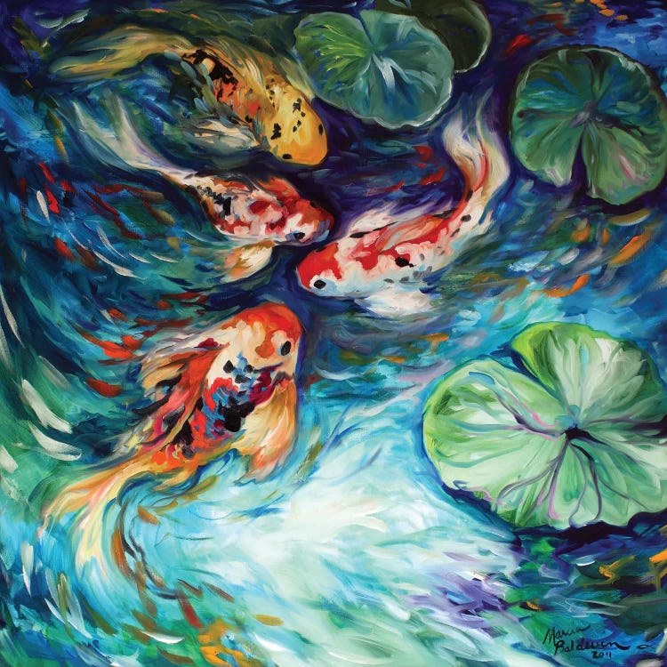 Dancing Colors Koi