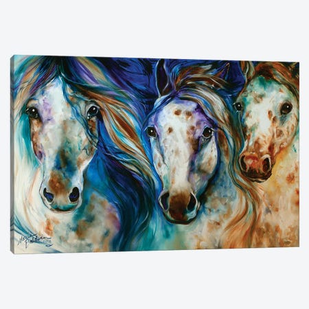 3 Wild Appaloosa Horses Canvas Print #BDN2} by Marcia Baldwin Canvas Wall Art