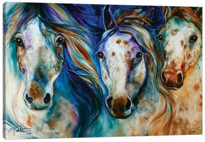3 Wild Appaloosa Horses Canvas Art Print - Marcia Baldwin