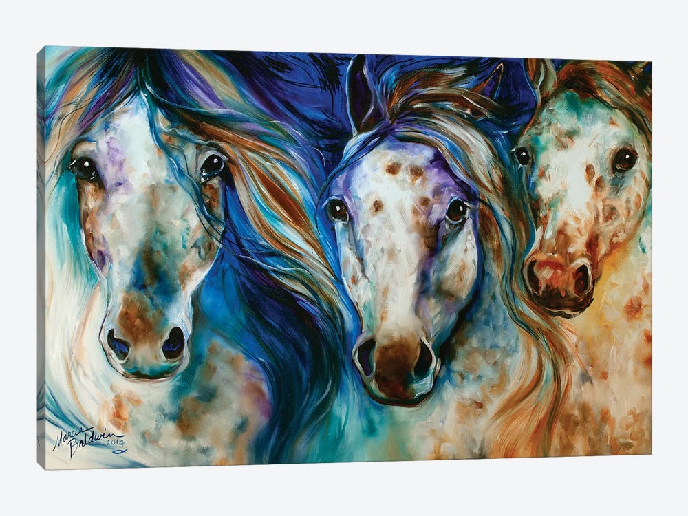 3 Wild Appaloosa Horses by Marcia Baldwin 1-piece Canvas Wall Art