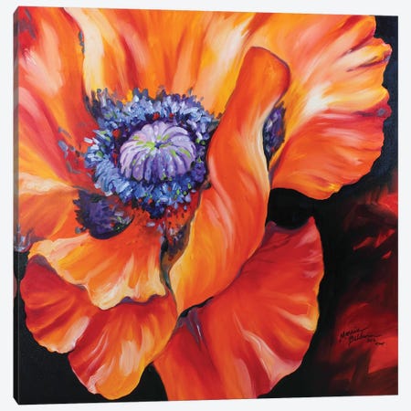 Heart Of A Red Poppy Canvas Print #BDN36} by Marcia Baldwin Canvas Art