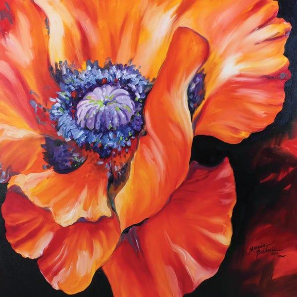 Poppies: Heart Of A Red Poppy by Marcia Baldwin