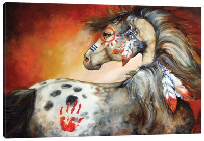 4 Feathers Indian War Pony Canvas Art Print - Horse Art