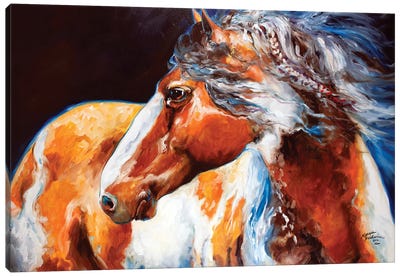 Mohican Indian War Horse Canvas Art Print - Farm Animal Art