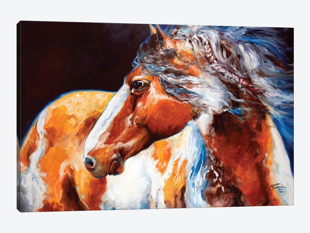Mohican Indian War Horse by Marcia Baldwin 1-piece Canvas Artwork