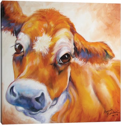 My Jersey Cow Commission Canvas Art Print - Marcia Baldwin