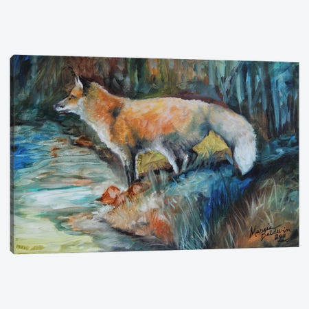 Red Fox II Canvas Print #BDN49} by Marcia Baldwin Canvas Wall Art
