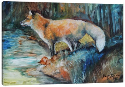 Red Fox II Canvas Art Print - Marcia Baldwin
