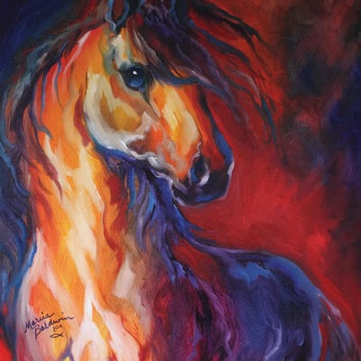 Stallion Red Dawn by Marcia Baldwin canvas print
