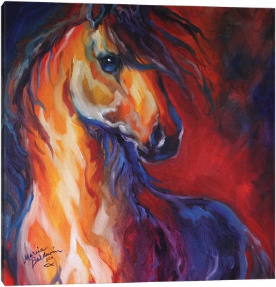 Stallion Red Dawn Canvas Art Print - Marcia Baldwin