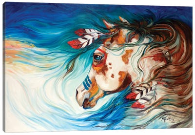 The Drifter Indian War Horse Canvas Art Print - Marcia Baldwin