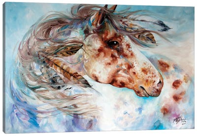 Thunder Appaloosa Indian War Horse Canvas Art Print - Marcia Baldwin