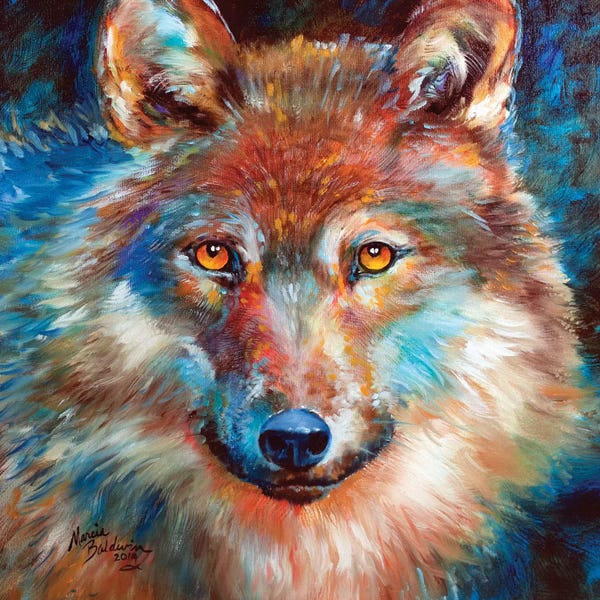 Wolves: Timber Wolf Abstract by Marcia Baldwin