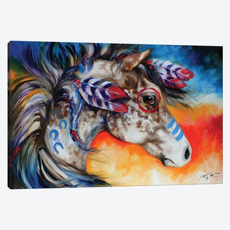 Appaloosa Indian War Horse Canvas Print #BDN7} by Marcia Baldwin Art Print