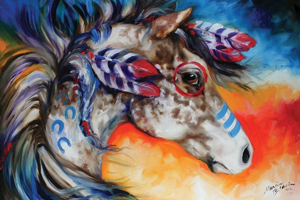 Indigenous & Native American Culture: Appaloosa Indian War Horse by Marcia Baldwin