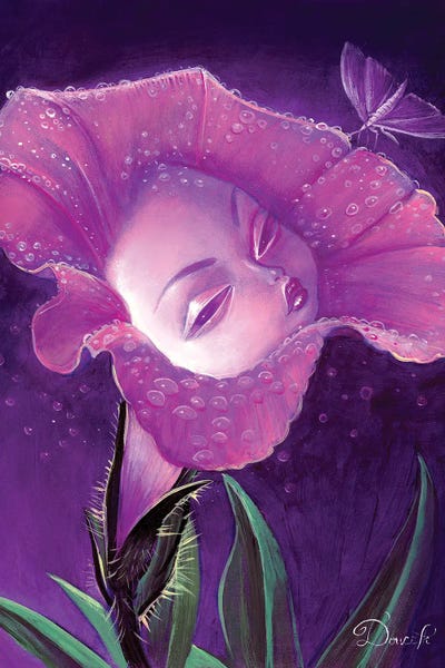 Moths: Evening Glory by Bob Doucette