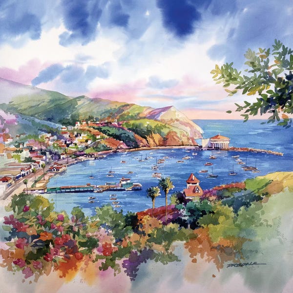 California: Avalon Catalina by Bill Drysdale