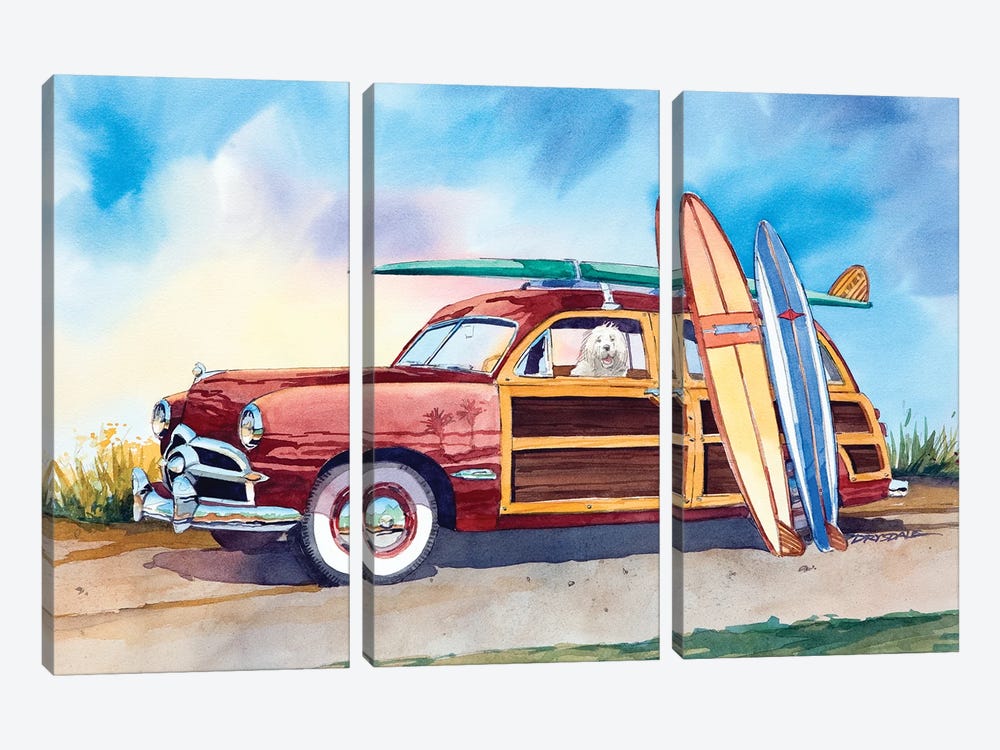 Shaggy Surfer by Bill Drysdale 3-piece Canvas Art Print
