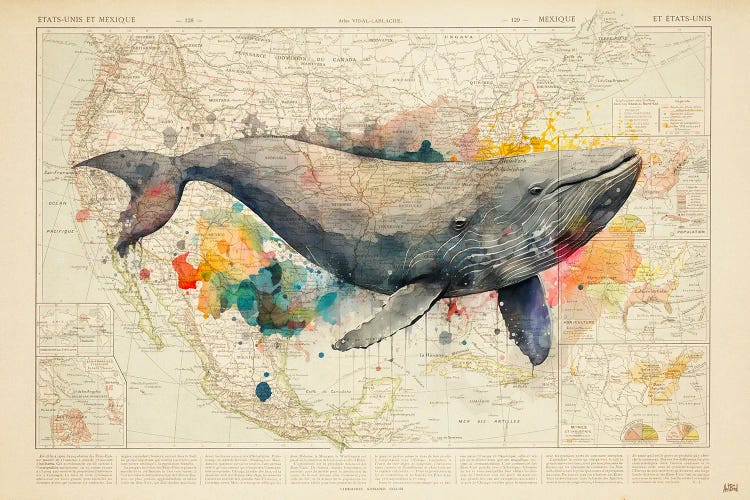 Encyclopedia - Whale Watercolor by ArtBird Studio wall art