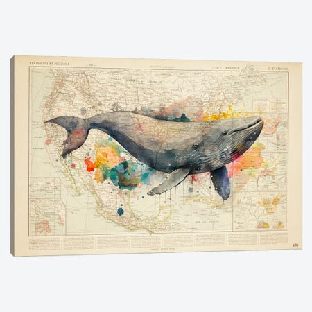 Encyclopedia - Whale Watercolor Canvas Print #BDS61} by ArtBird Studio Art Print