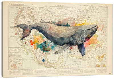 Encyclopedia - Whale Watercolor Canvas Art Print - USA Maps