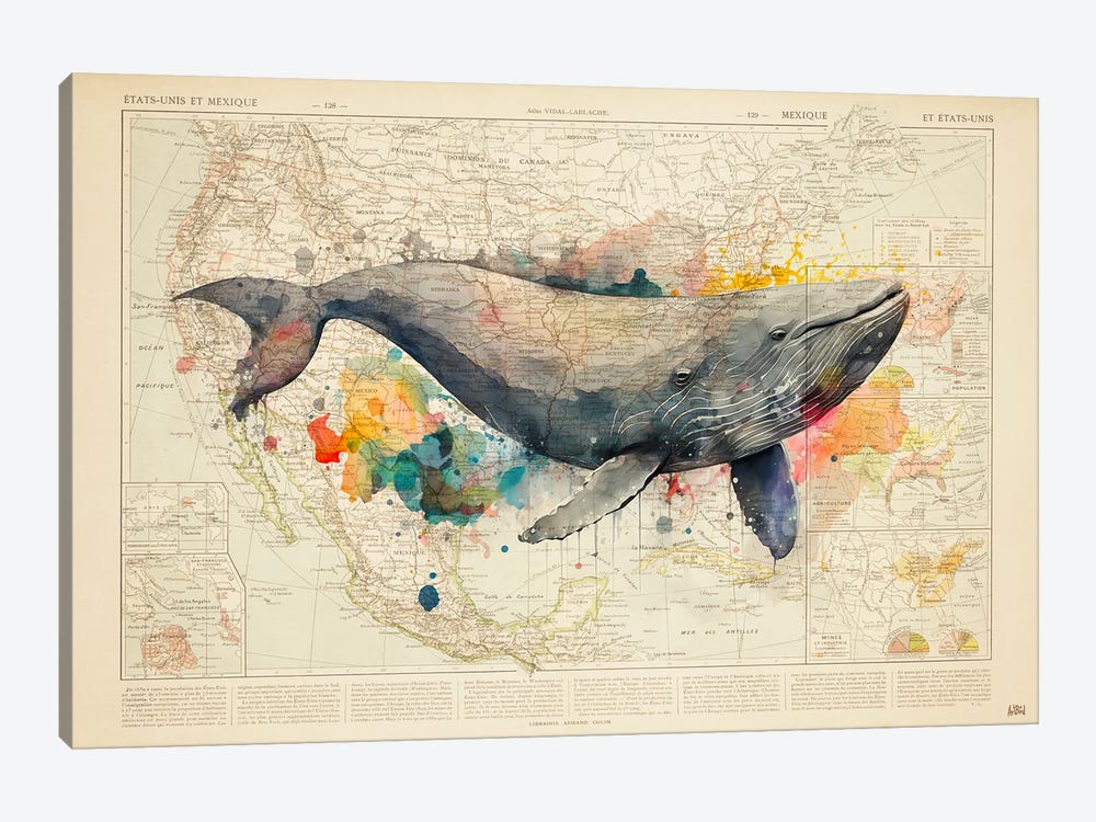 Encyclopedia - Whale Watercolor by ArtBird Studio 1-piece Canvas Artwork