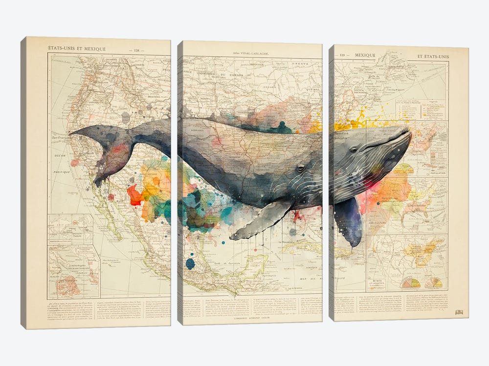 Encyclopedia - Whale Watercolor by ArtBird Studio 3-piece Canvas Art