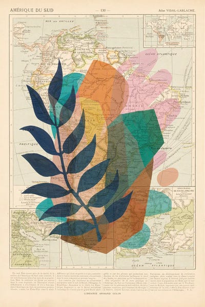 South America: Lanny Blue by ArtBird Studio