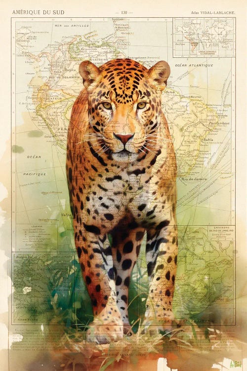 Jaguar by ArtBird Studio canvas print