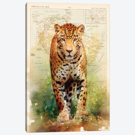 Jaguar Canvas Print #BDS72} by ArtBird Studio Canvas Wall Art