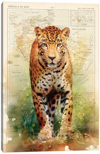 Jaguar Canvas Art Print - Antique Maps