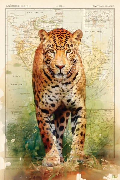 ArtBird Studio: Jaguar by ArtBird Studio
