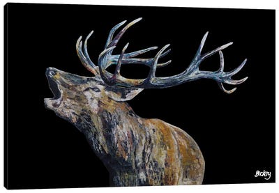 Fraser I Canvas Art Print - Moose Art