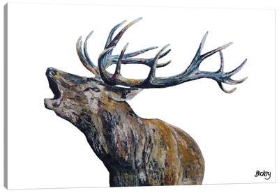Fraser II Canvas Art Print - Deer Art