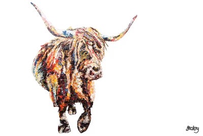 Fraser's Coo by Becksy canvas print