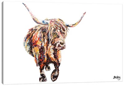 Fraser's Coo Canvas Art Print - Bison & Buffalo Art