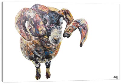 Goseland Canvas Art Print - Rams