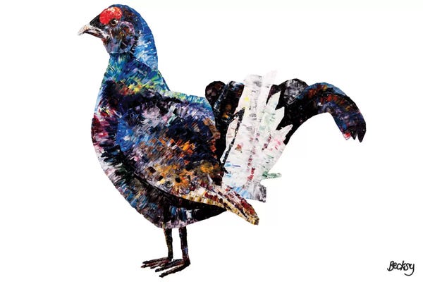 Grouses: Black Grouse by Becksy