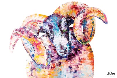 Black-Faced Sheep by Becksy art print