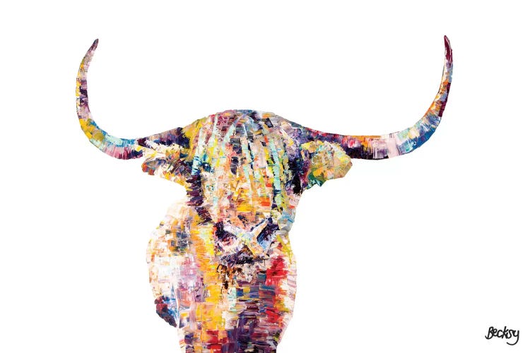 Highland Cow