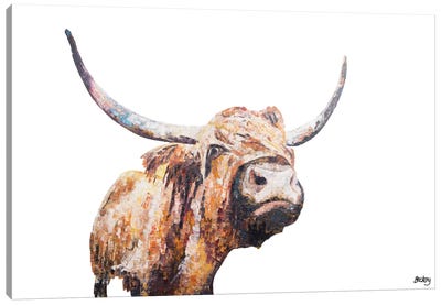 Isla Canvas Art Print - Highland Cow Art