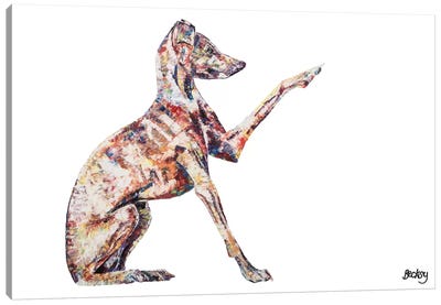 Italian Greyhound Canvas Art Print - Greyhound Art