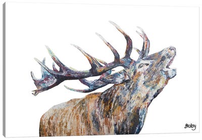 Murdo Canvas Art Print - Elk Art