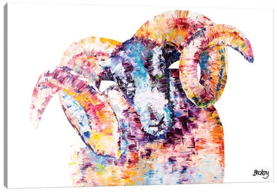 Black-Faced Sheep Canvas Art Print - Sheep Art
